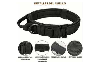 Foto 4 | Collar Y Correa Para Perro Xtellar Ajustable Con Hebilla Metálica – Ideal Para Entrenamiento Y Actividades Exteriores