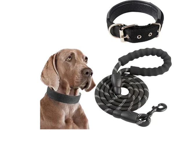 Foto 2 pulgar | Juego De Correa Y Collar Para Perros Xtellar  Alto Rendimiento  Reflectantes En Negro