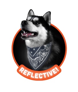 Foto 3 | Bandana Para Perro Genuina Fred Howligans Reflectante Tamaño Grande Azul Marino - Venta Internacional.