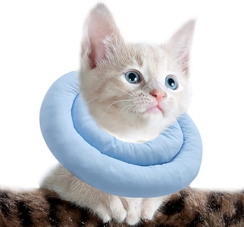 Foto 4 | Collar En Forma De Cono De Gato Ajustable, Acolchado Y Suave, De Poliéster Huoguo - Venta Internacional.