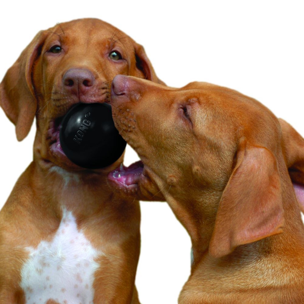 Foto 2 | Pelota Kong Ub2 color Negro para Mascota