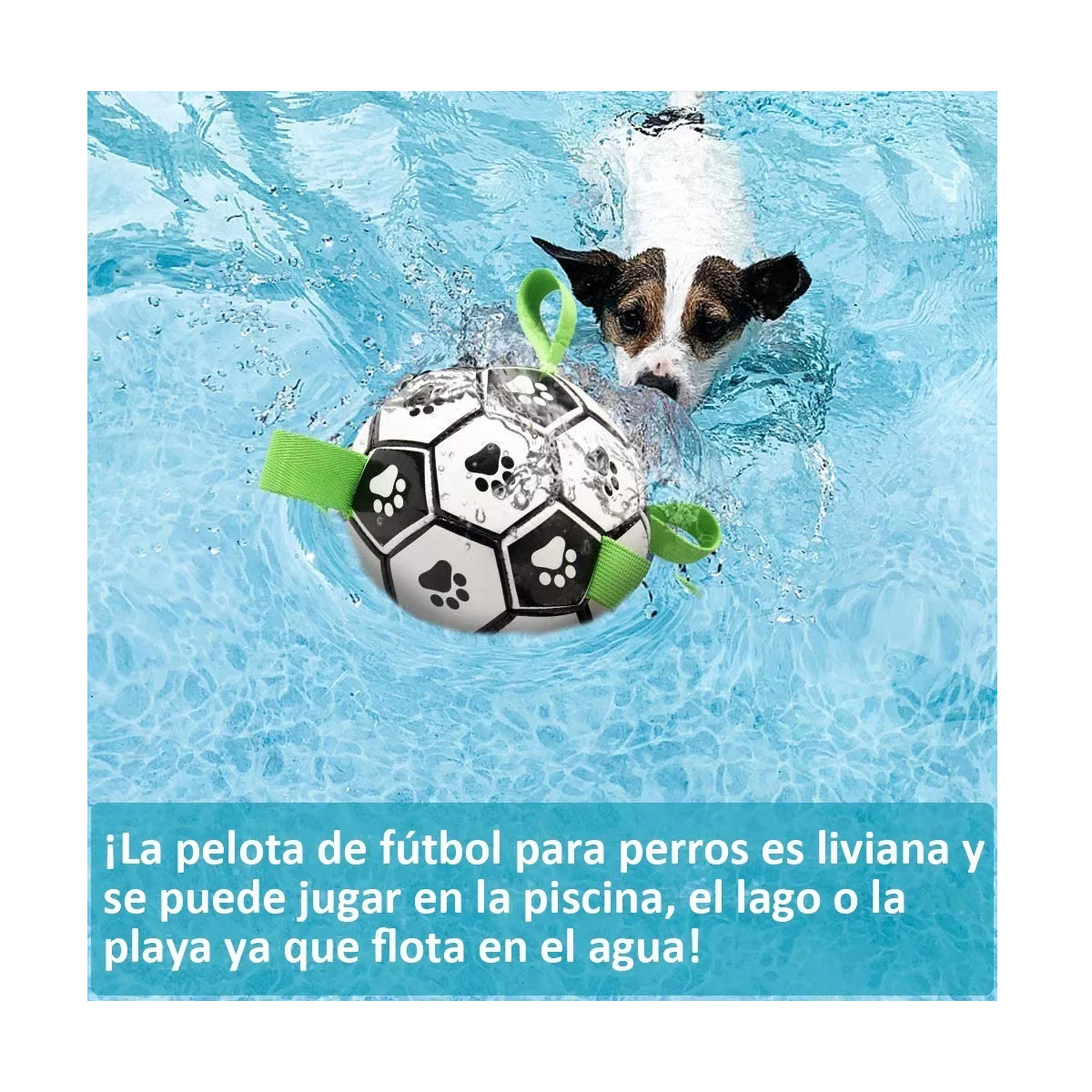 Foto 4 pulgar | Juguete para Perros Balón de Fútbol Eo Safe Imports Esi-8846 Multicolor