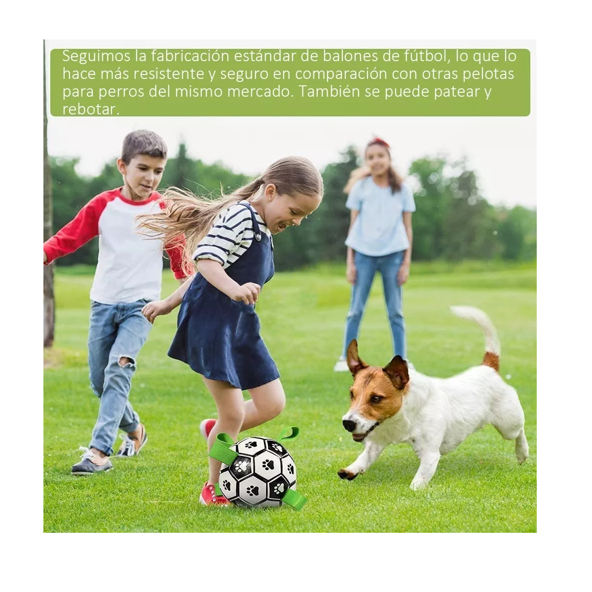 Foto 5 pulgar | Juguete para Perros Balón de Fútbol Eo Safe Imports Esi-8846 Multicolor