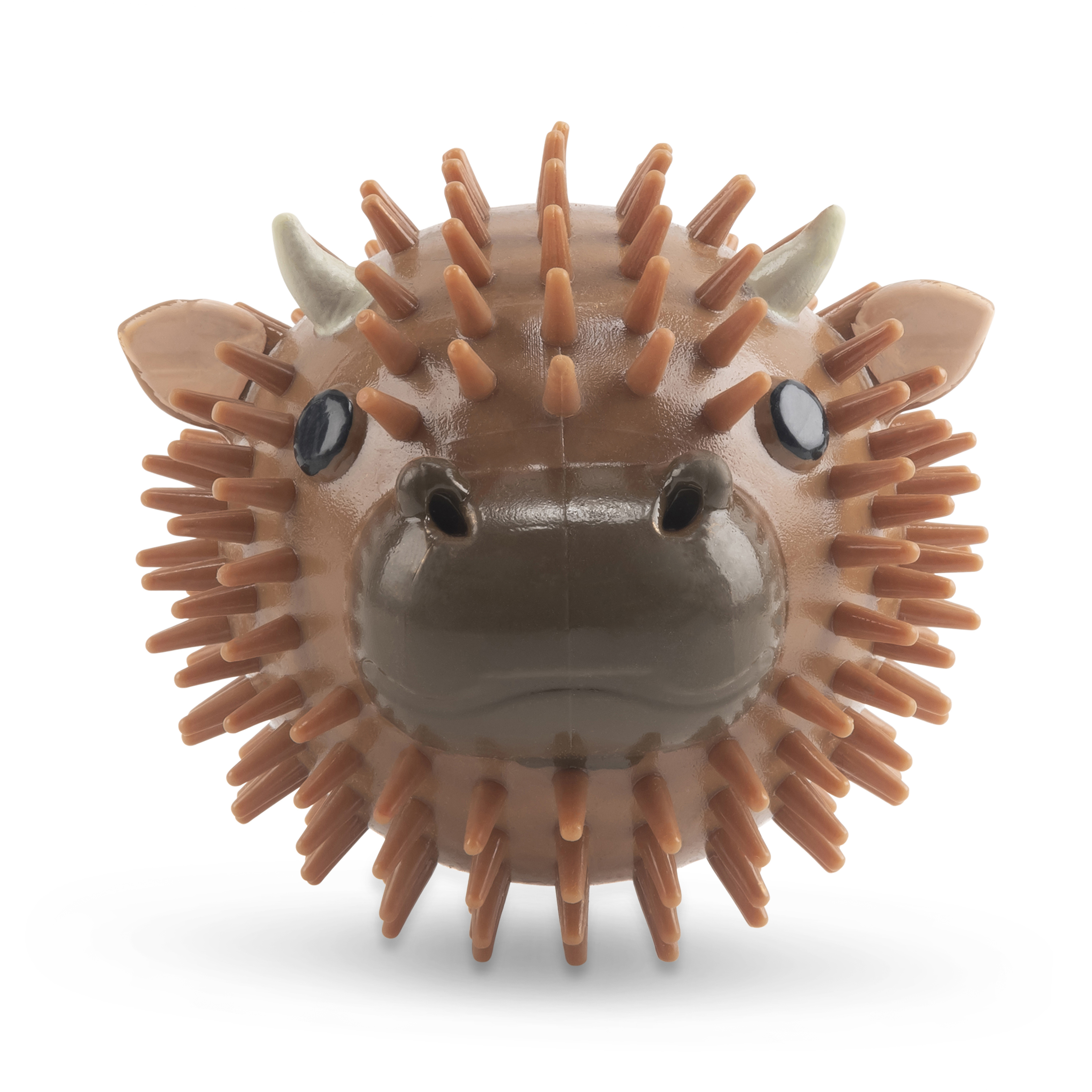 Pelota Kikkerland para Perro