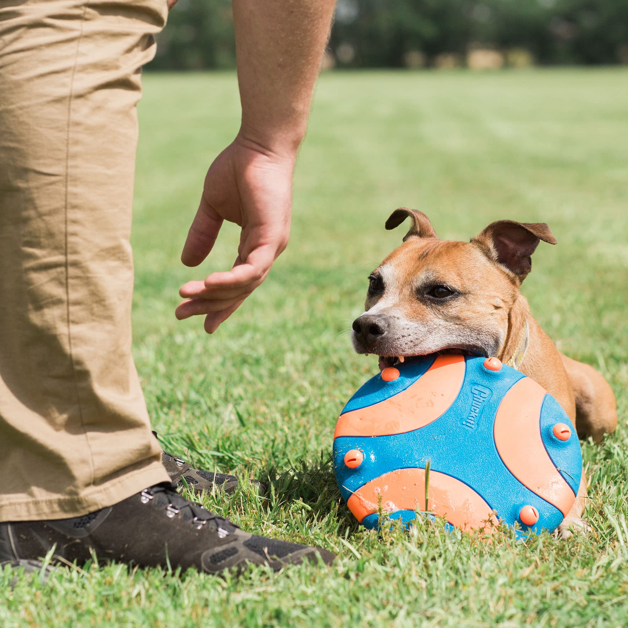 Foto 3 pulgar | Juguete Para Perros Chuckit Whistle Flight Naranja Y Azul Para Exteriores - Venta Internacional.