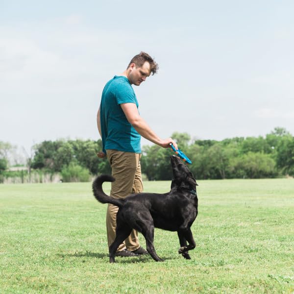 Foto 6 | Juguete Para Perros Chuckit Whistle Flight Naranja Y Azul Para Exteriores - Venta Internacional.
