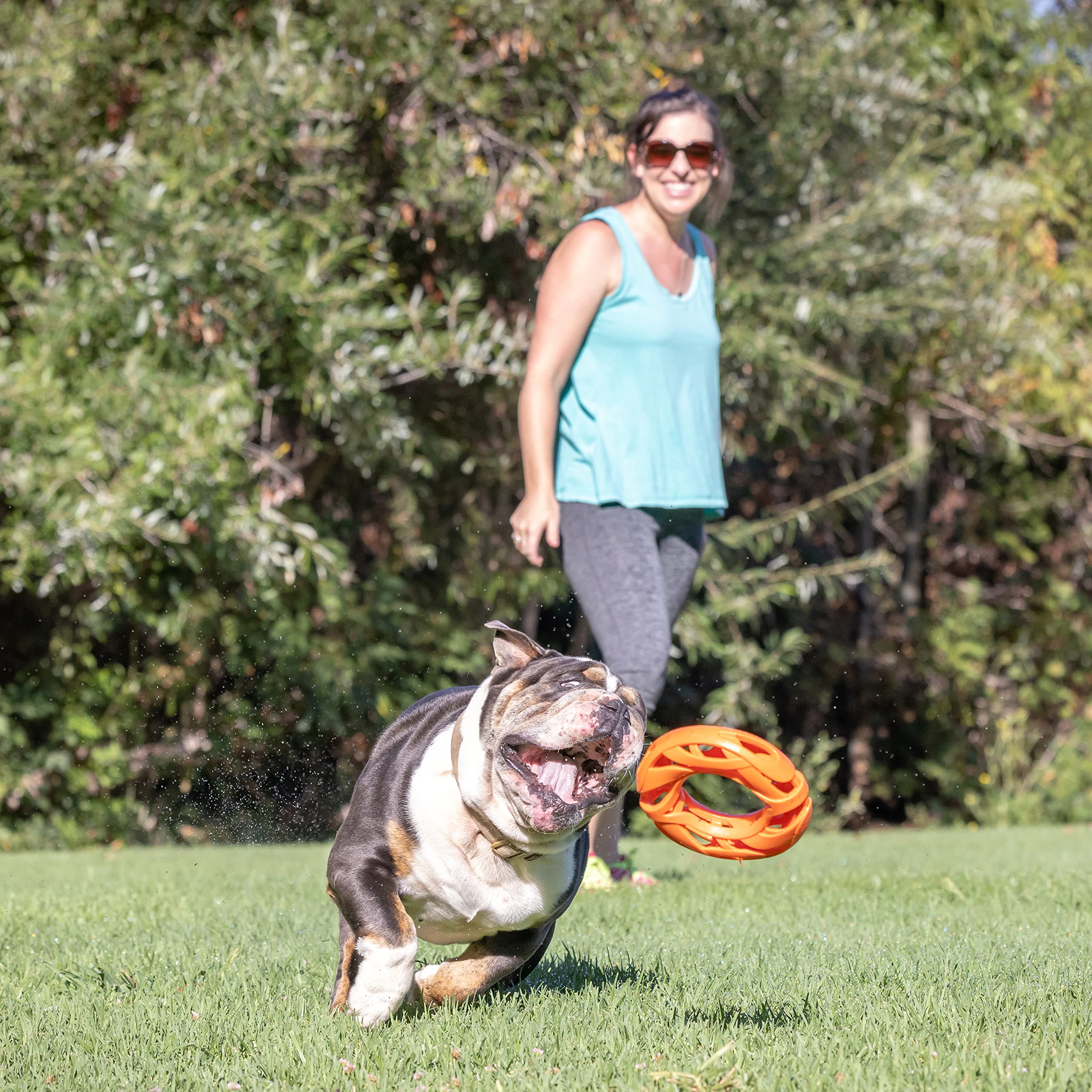 Foto 4 pulgar | Juguete Fetch Toy Chuckit Air Fetch Wheel Para Perros, Color Naranja - Venta Internacional.
