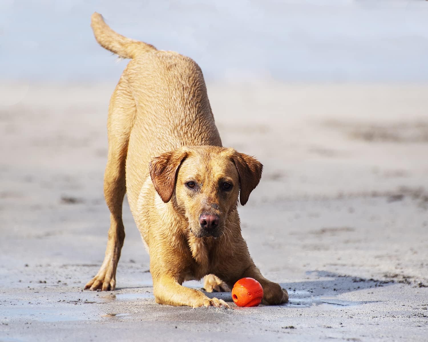 Foto 4 | Pelota Para Perros Chuckit Fetch Medley Para Perros Dog Toys, Paquete Mediano De 3 - Venta Internacional.