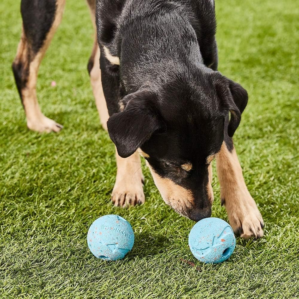 Foto 7 pulgar | Pelota Para Perros Chuckit Fetch Medley Para Perros Dog Toys, Paquete Mediano De 3 - Venta Internacional.