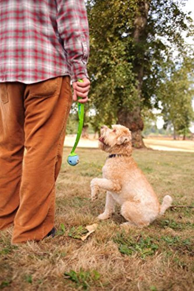 Foto 8 pulgar | Pelota Para Perros Chuckit Fetch Medley Para Perros Dog Toys, Paquete Mediano De 3 - Venta Internacional.