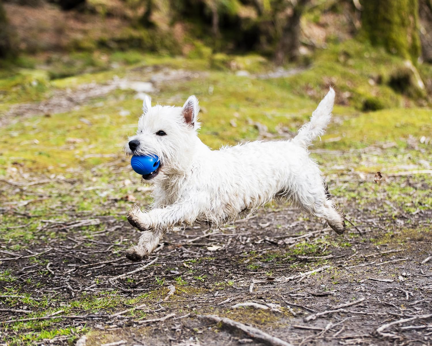 Foto 4 pulgar | Juguete Para Perros Chuckit! Crunch Ball De Tamaño Mediano (paquete De 2) - Venta Internacional.