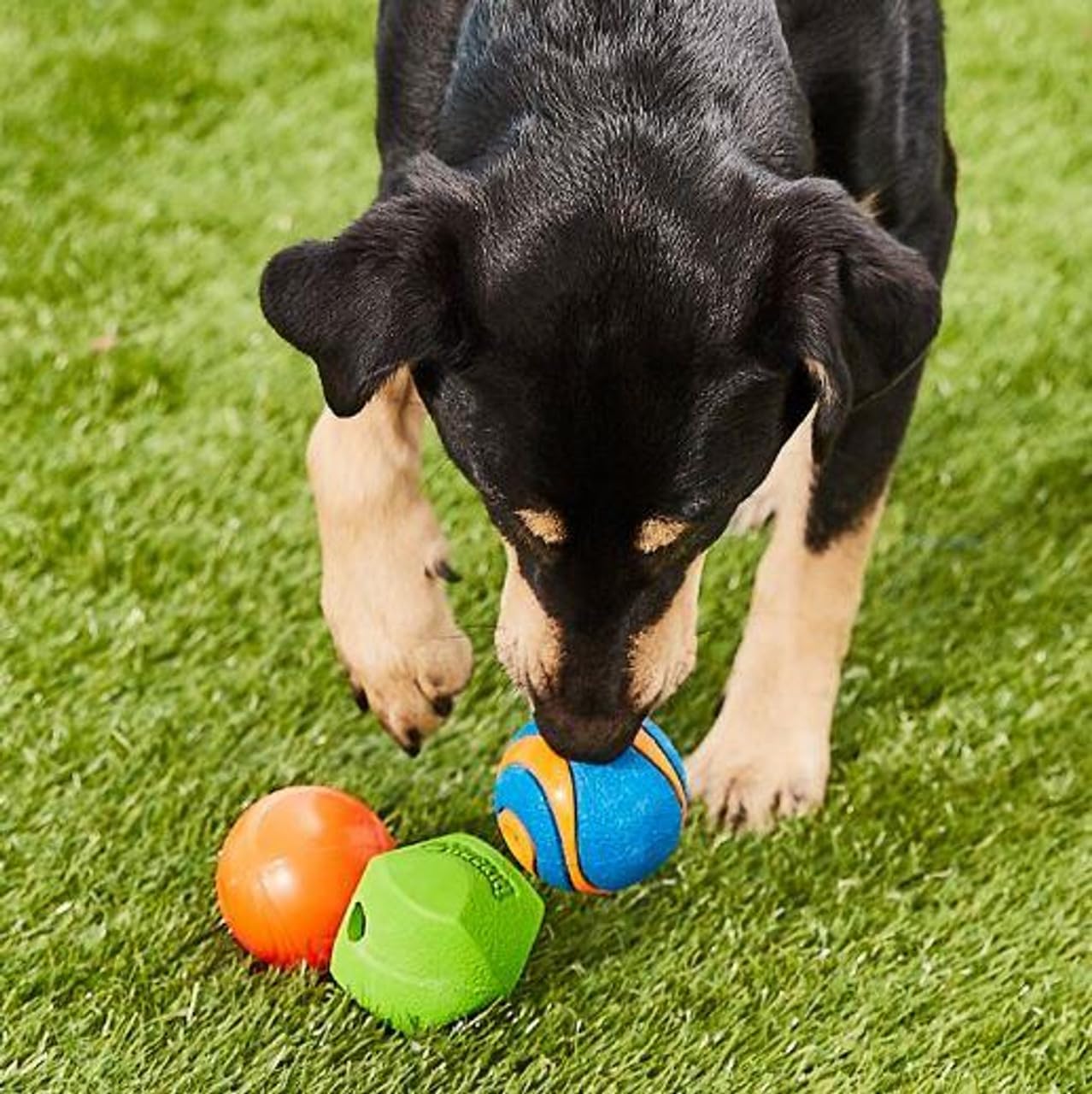 Foto 5 pulgar | Pelota Para Perros Chuckit Fetch Medley Para Perros De Raza Mediana, Paquete De 3 - Venta Internacional.