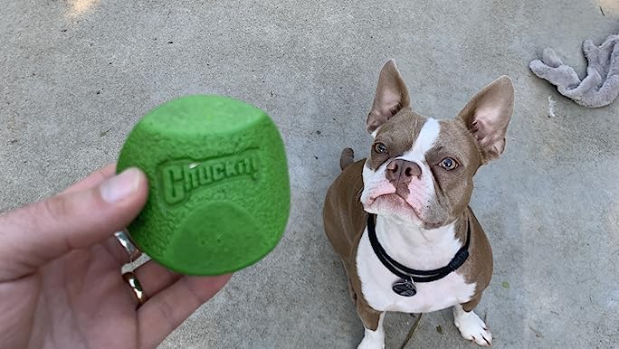 Foto 6 pulgar | Pelota Para Perros Chuckit Fetch Medley Para Perros De Raza Mediana, Paquete De 3 - Venta Internacional.