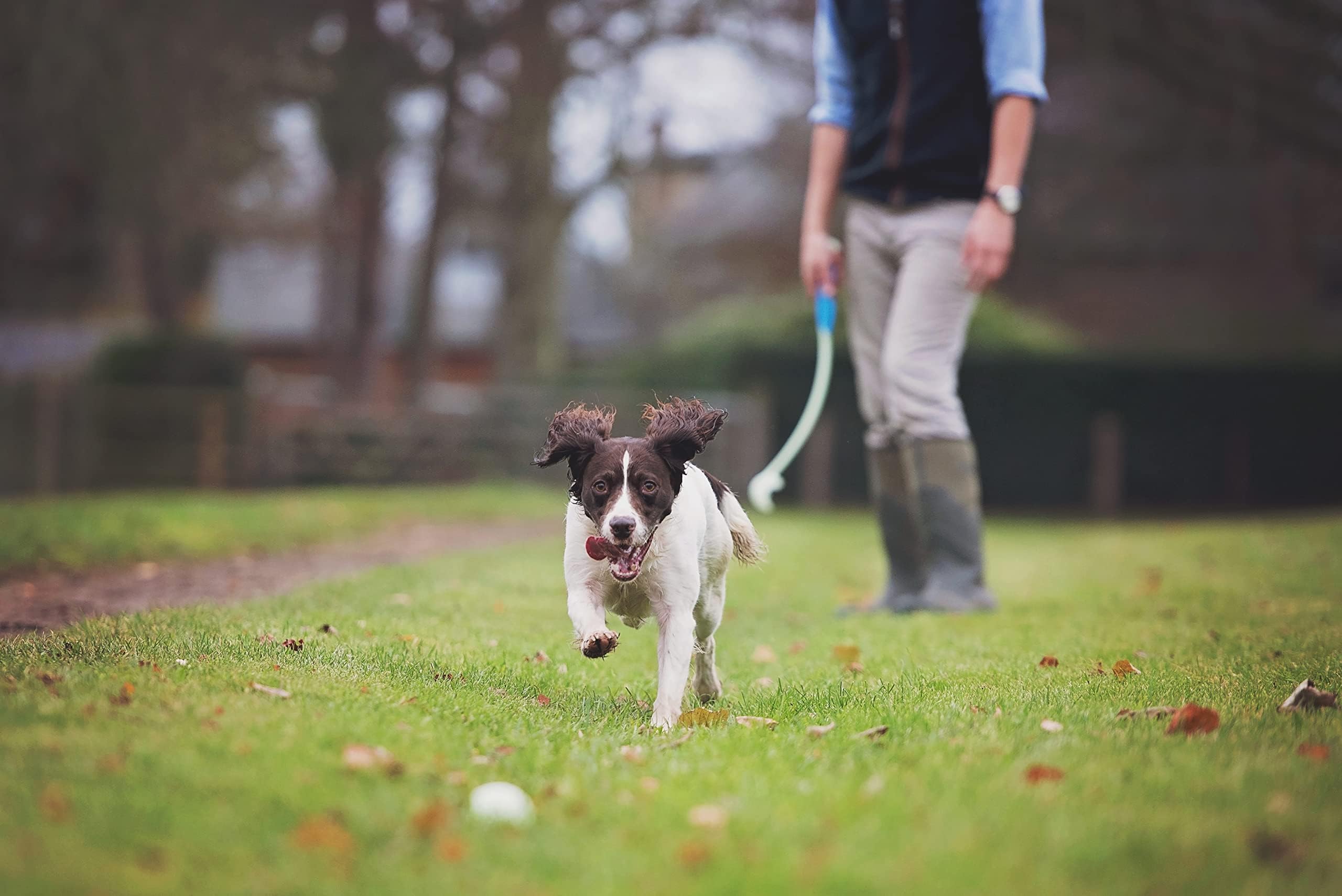 Foto 4 | Pelota Para Perros Chuckit Fetch Medley Para Perros, Razas Pequeñas, X3 - Venta Internacional.