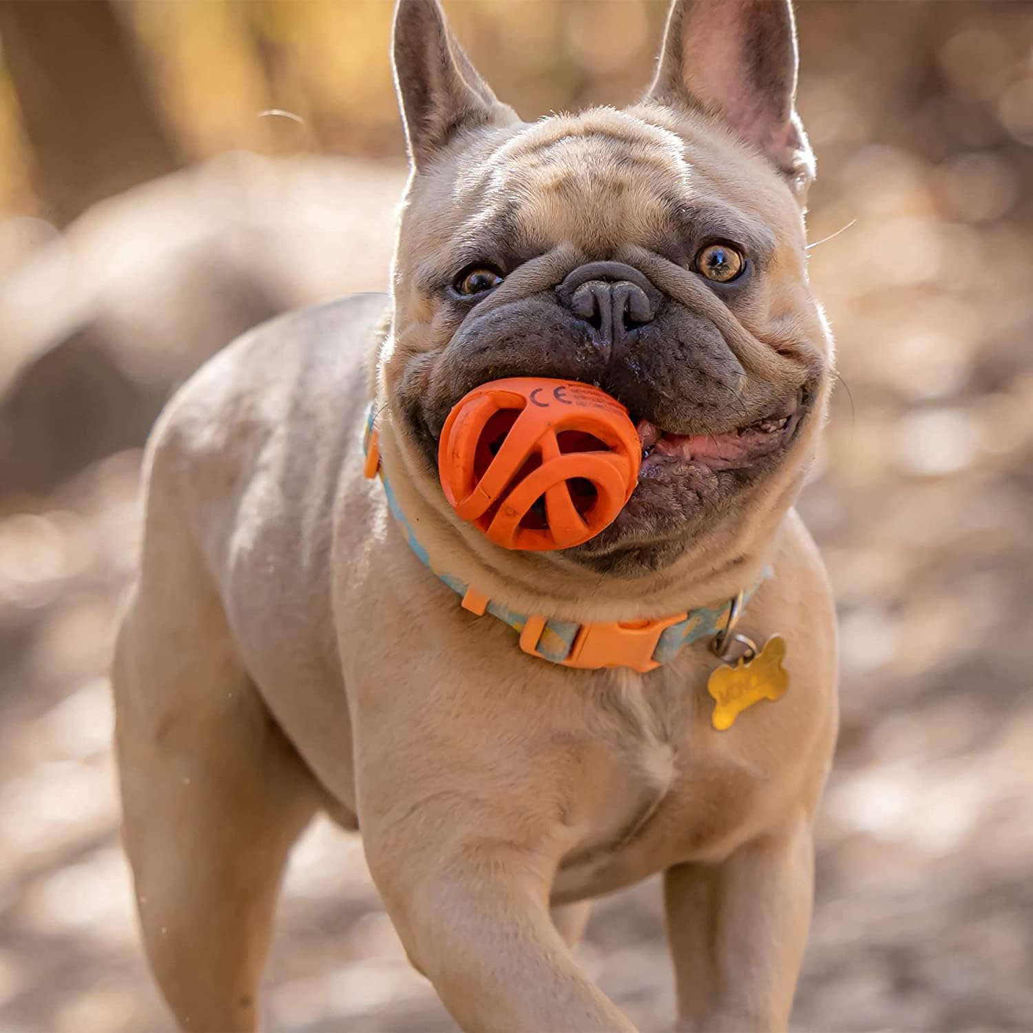 Foto 4 pulgar | Juguete Para Perros Chuckit! Pelota Air Fetch Pequeña Para Perros De 0 A 9 Kg (2 Cm) - Venta Internacional.