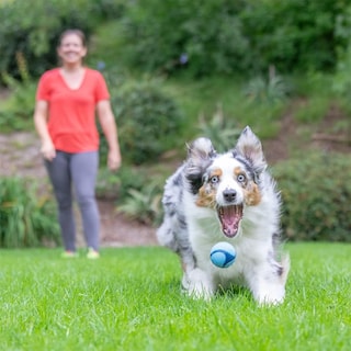 Foto 2 | Juguete Para Perros Chuckit! Sniff Ball, Goma Aromática Duradera Y De Alto Rebote - Venta Internacional.