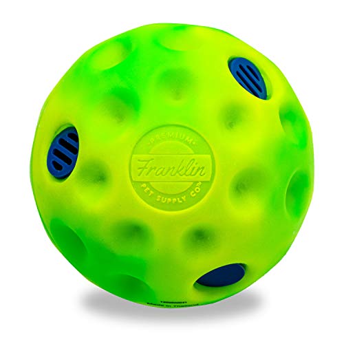 Juguete Interactivo Para Perros Franklin Ready Set Fetch! Ríe Y Peluca - Venta Internacional.