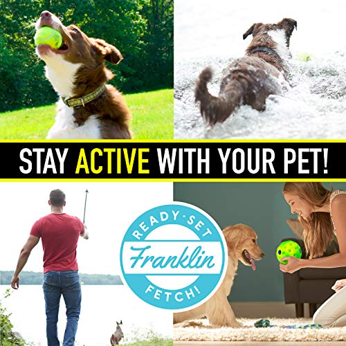 Foto 5 pulgar | Juguete Interactivo Para Perros Franklin Ready Set Fetch! Ríe Y Peluca - Venta Internacional.