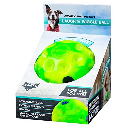 Foto 6 pulgar | Juguete Interactivo Para Perros Franklin Ready Set Fetch! Ríe Y Peluca - Venta Internacional.