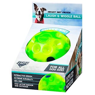 Foto 5 | Juguete Interactivo Para Perros Franklin Ready Set Fetch! Ríe Y Peluca - Venta Internacional.