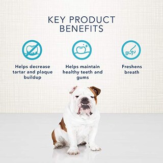 Foto 4 | Golosinas Para Perros Blue Buffalo Dental Bones, Grandes, 22,5 Kg (50 Libras) - Venta Internacional.
