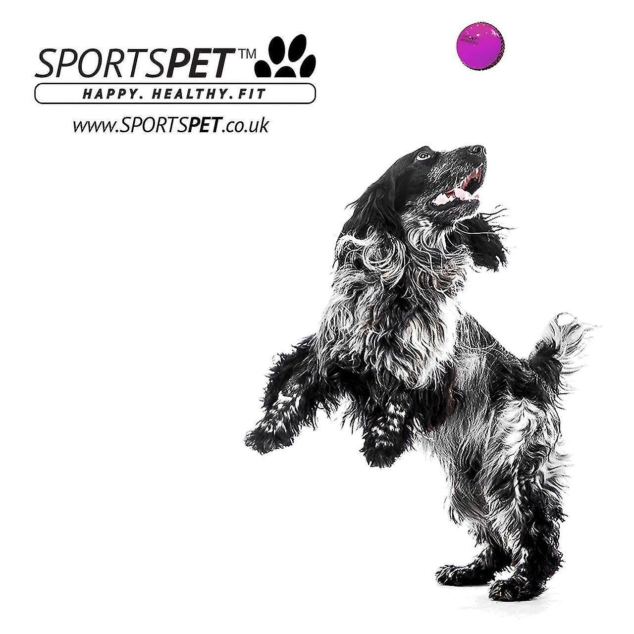 Foto 6 pulgar | Dog Toys Huoguo Sport Airballs Para Perros, Paquete De 2 - Venta Internacional.