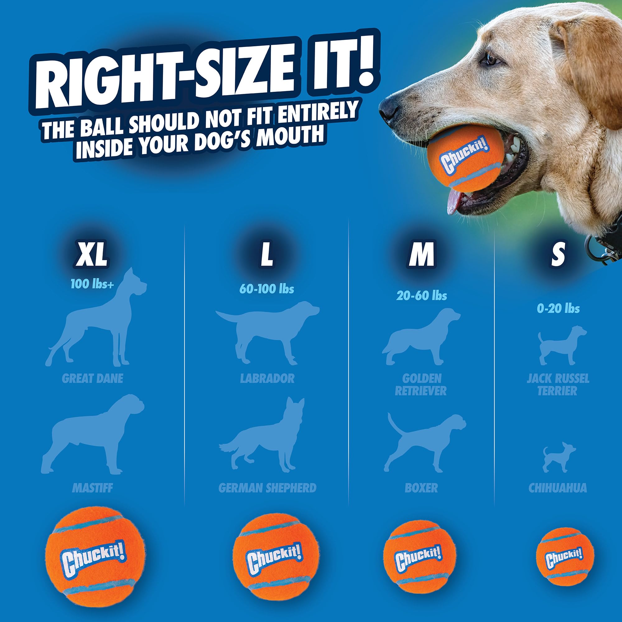 Foto 5 pulgar | Juguete Para Perros Chuckit! Pelota De Tenis Pequeña Para Perros De 0 A 9 Kg, Paquete De 2 - Venta Internacional.