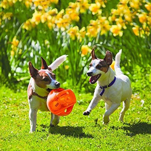 Foto 3 pulgar | Juego De Juguete Para Perros Kong Jumbler Ball Interactive Fetch Con Pelota De Tenis - Venta Internacional.