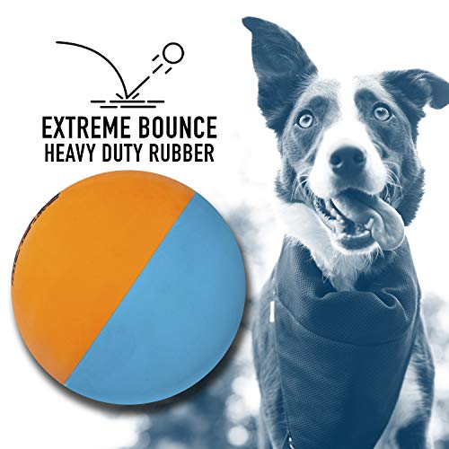 Foto 4 pulgar | Pelotas Franklin Pet Supply High Bounce Fetch Para Perros, C - Venta Internacional.