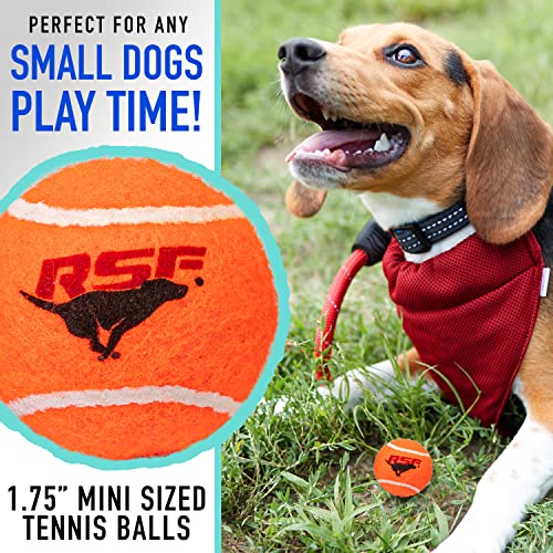 Foto 4 pulgar | Pelotas De Tenis Franklin Pet Supply Rsf Squeak Mini De 1.75 - Venta Internacional.