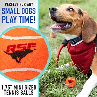 Foto 3 | Pelotas De Tenis Franklin Pet Supply Rsf Squeak Mini De 1.75 - Venta Internacional.