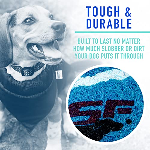 Foto 5 | Pelotas De Tenis Franklin Pet Supply Rsf Squeak Mini De 1.75 - Venta Internacional.