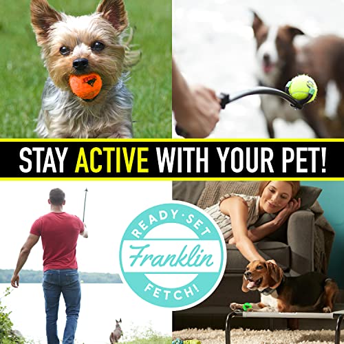 Foto 7 | Pelotas De Tenis Franklin Pet Supply Rsf Squeak Mini De 1.75 - Venta Internacional.
