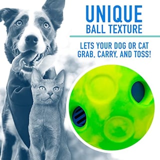 Foto 4 | Pelota Interactiva Franklin Sports Rsf Laugh And Wiggle Ball - Venta Internacional.