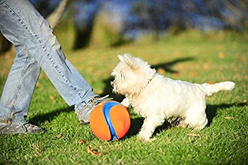 Foto 3 pulgar | Juguete Para Perros Chuckit! Pelota Kick Fetch Pequeña (15 Cm) Para Perros - Venta Internacional.