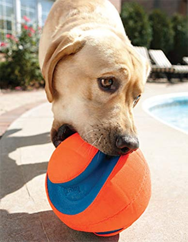 Foto 8 pulgar | Juguete Para Perros Chuckit! Pelota Kick Fetch Pequeña (15 Cm) Para Perros - Venta Internacional.