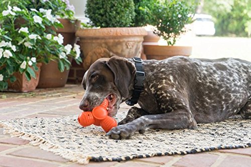 Foto 8 pulgar | Juguete Para Masticar Para Mascotas Petsafe, Tamaño Grande, Para Deportistas, Que Squeak 'n' Treat - Venta Internacion