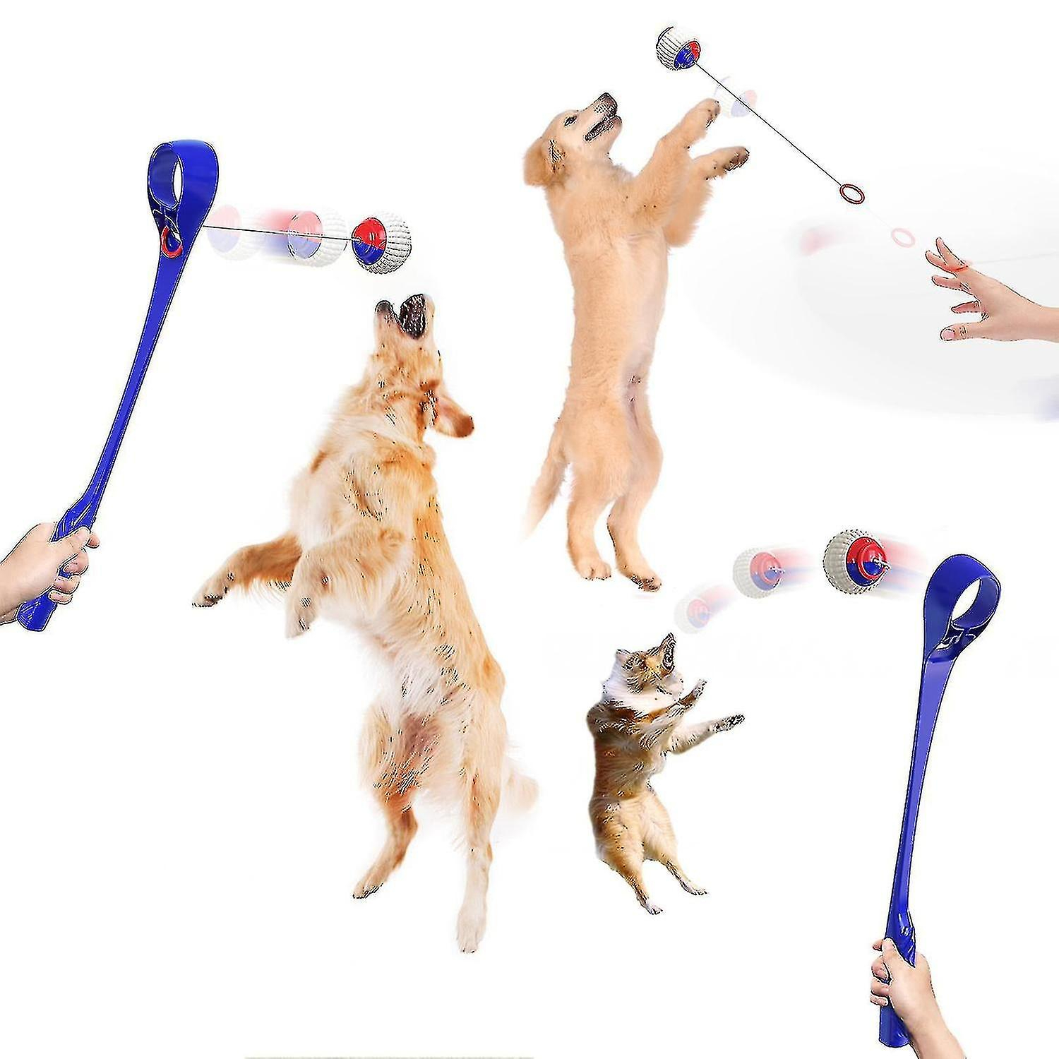 Foto 2 pulgar | Dispositivo Para Lanzar Pelotas De Juguete Para Perros Para Entrenar A Cachorros Al Aire Libre - Venta Internacional.