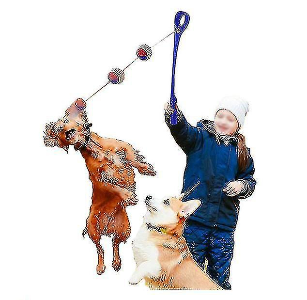 Foto 5 pulgar | Dispositivo Para Lanzar Pelotas De Juguete Para Perros Para Entrenar A Cachorros Al Aire Libre - Venta Internacional.
