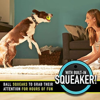Foto 2 | Pelotas De Tenis Franklin Pet Supply Squeaky Dog, Paquete De 3 - Venta Internacional.