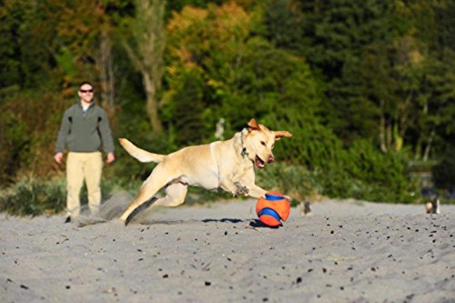 Foto 7 pulgar | Pelota De Juguete Para Perros Chuckit Kick Fetch, Grande, Para Padres De Mascotas - Venta Internacional.