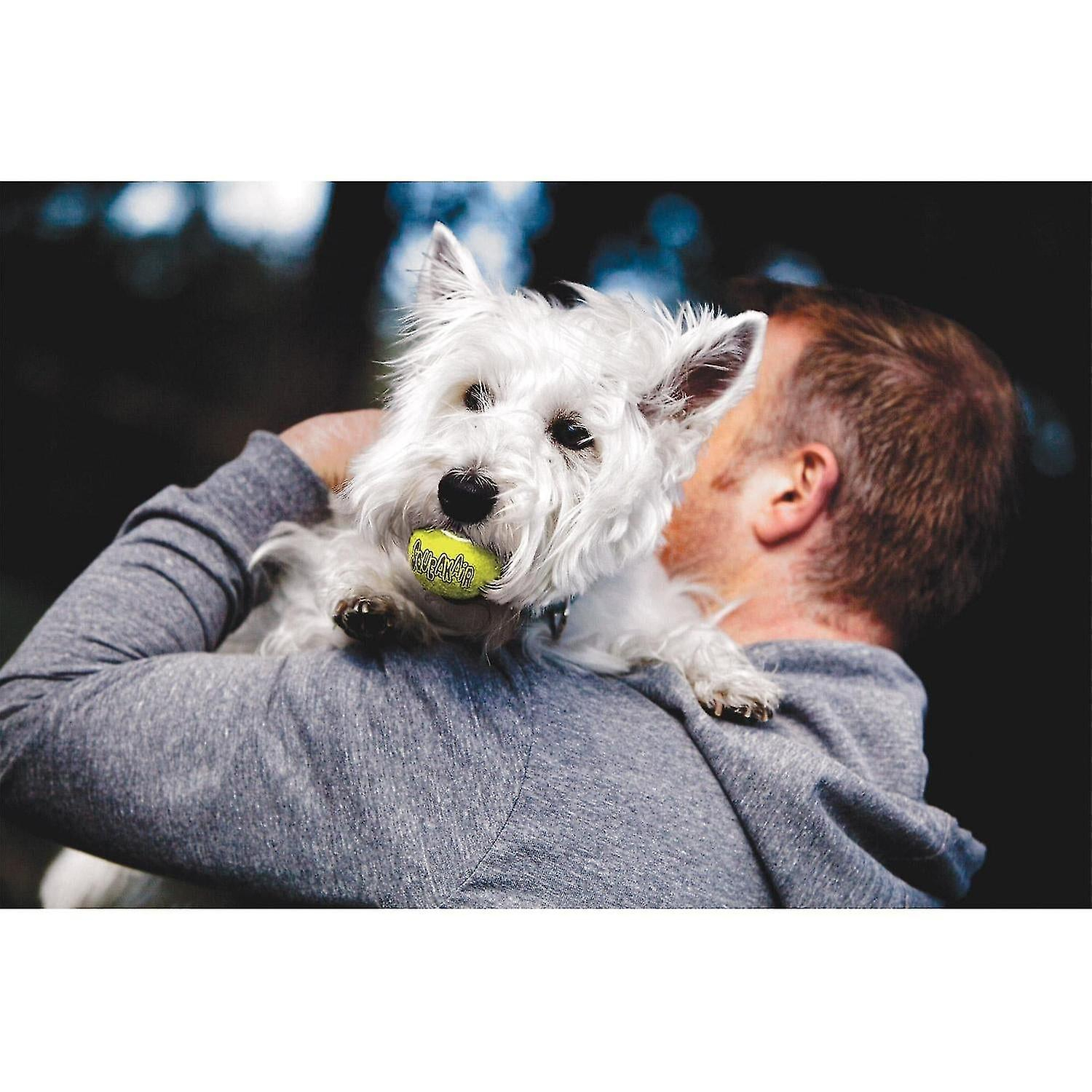 Foto 4 pulgar | Pelotas De Tenis Dog Toys Huoguo Air Dog Squeaker, Tamaño Grande, Paquete De 2 - Venta Internacional.