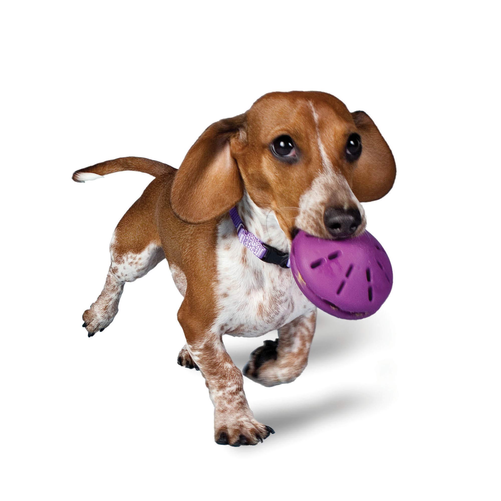 Foto 2 pulgar | Dispensador De Juguetes Para Perros Petsafe Busy Buddy Twist 'n Treat, Pequeño - Venta Internacional.