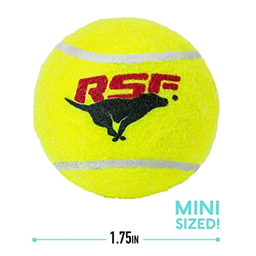 Foto 3 pulgar | Pelotas De Tenis Franklin Pet Supply Rsf Squeak Mini 1.75 - Venta Internacional.