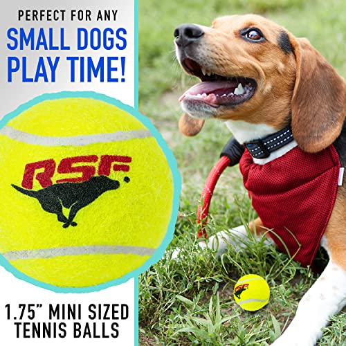 Foto 4 pulgar | Pelotas De Tenis Franklin Pet Supply Rsf Squeak Mini 1.75 - Venta Internacional.