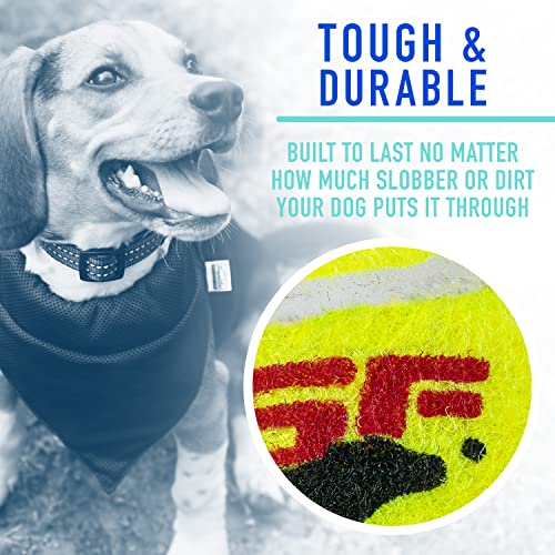 Foto 6 pulgar | Pelotas De Tenis Franklin Pet Supply Rsf Squeak Mini 1.75 - Venta Internacional.