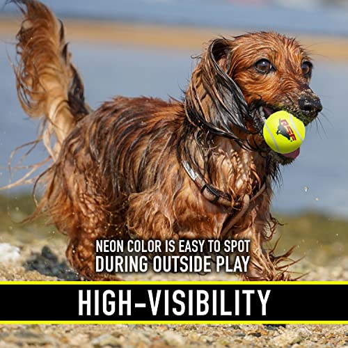 Foto 7 | Pelotas De Tenis Franklin Pet Supply Rsf Squeak Mini 1.75 - Venta Internacional.