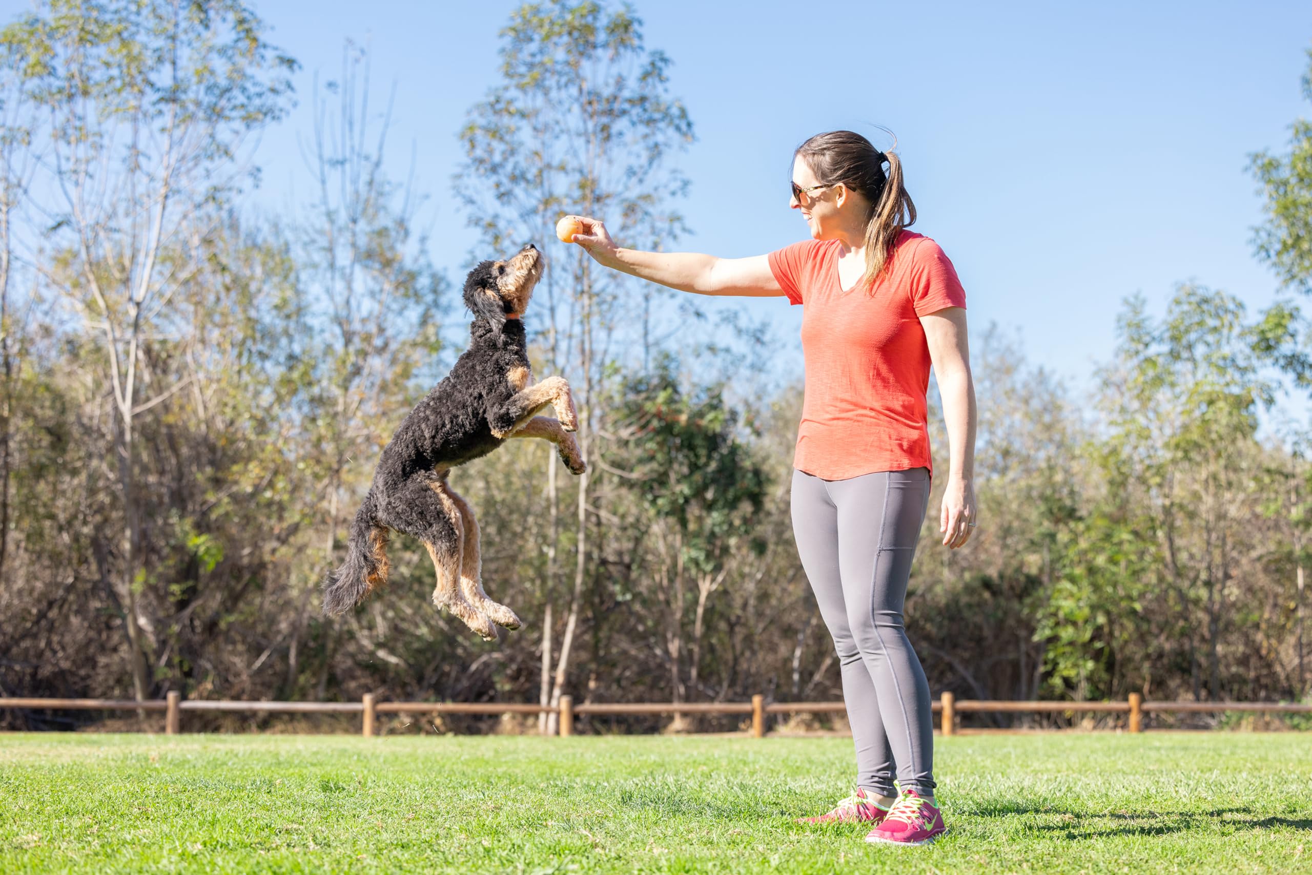 Foto 6 pulgar | ¡busca A Ball Chuckit! Cumpleaños Para Perros De Tamaño Mediano De 9 A 27 Kg - Venta Internacional.