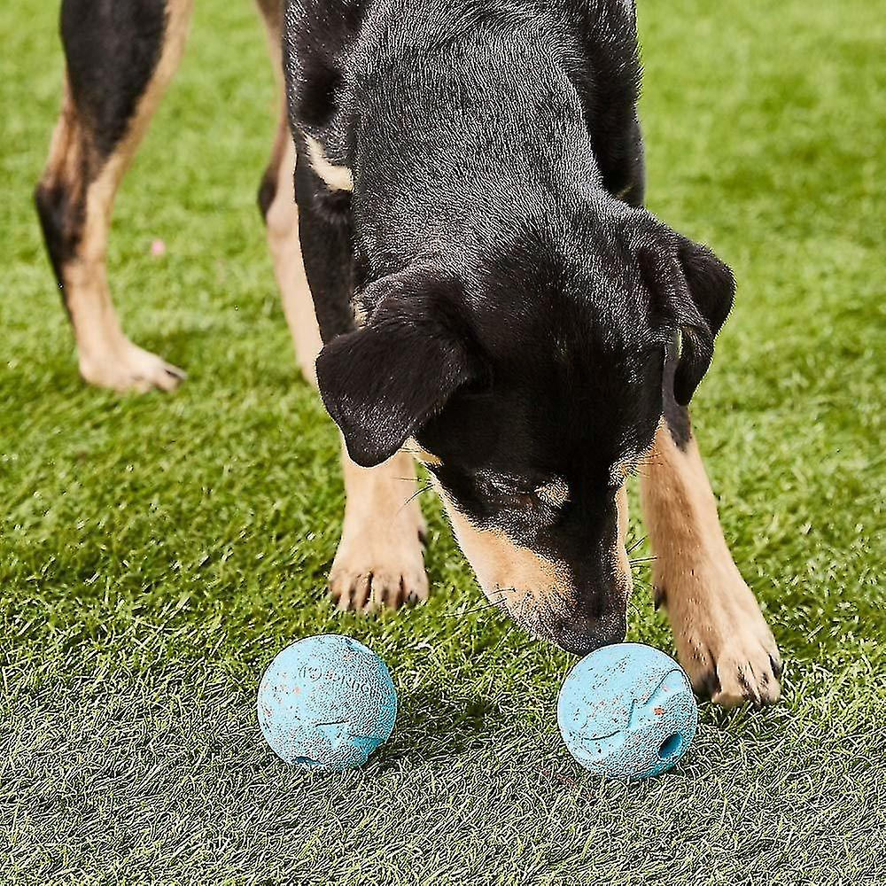 Foto 3 pulgar | Pelota Rebote Chuckit De Juguete Para Perros Medianos, Paquete De 2 - Venta Internacional.