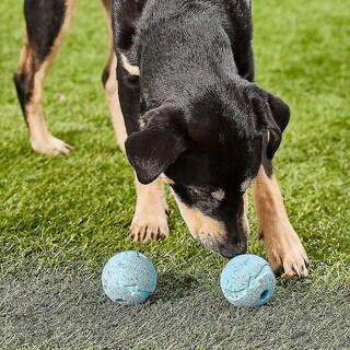 Foto 2 | Pelota Rebote Chuckit De Juguete Para Perros Medianos, Paquete De 2 - Venta Internacional.